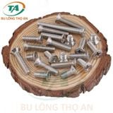 Vít pake đầu bằng, đầu tròn, đầu dù Inox 201, 304, 316