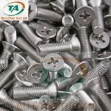 Vít pake đầu bằng, đầu tròn, đầu dù Inox 201, 304, 316