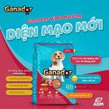  [Mẫu Thử 100g] Hạt Cho Chó Lớn Ganador Vị Bò Nướng 