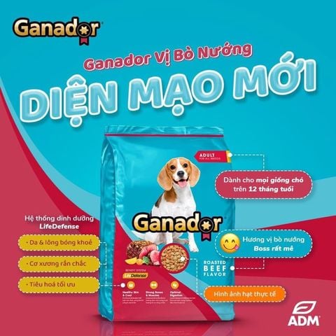  [Mẫu Thử 100g] Hạt Cho Chó Lớn Ganador Vị Bò Nướng 