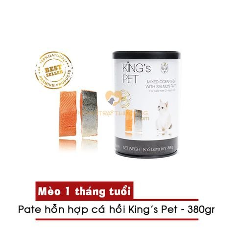  Pate Chó Mèo KING'S PET - 380gr - Nhiều vị 