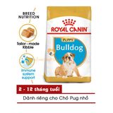  Hạt Chó ROYAL CANIN BULLDOG ADULT/PUPPY - 1/3KG 