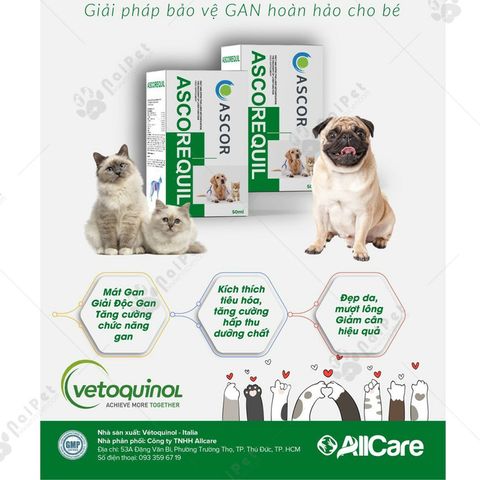  Siro Giải Độc Gan Ascorequil 50ml - Phục Hồi Chức Năng Gan Hiệu Quả, Tăng Tuổi Thọ Cho Chó Mèo - Xuất Xứ Italy (Allcarequil) 