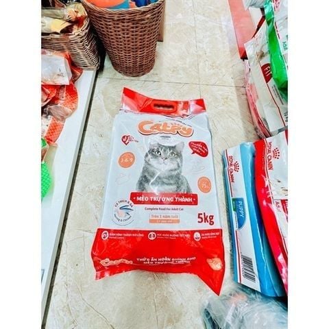  Hạt Catpy Cho Mèo Mọi Lứa Tuổi 500g/1.5kg/5kg 