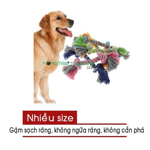  Đồ chơi gặm Chó bằng dây thừng - Nhiều size 