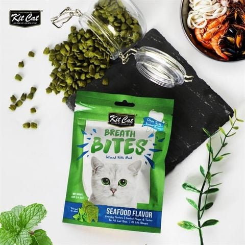  Bánh Snack Cho Mèo Kitcat Thơm Miệng, Sạch Răng - Kitcat Breath Bites 60g 