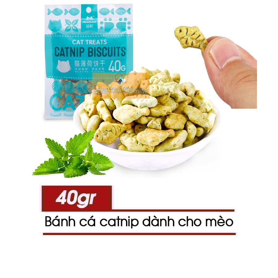 Catnip biscuits 2025