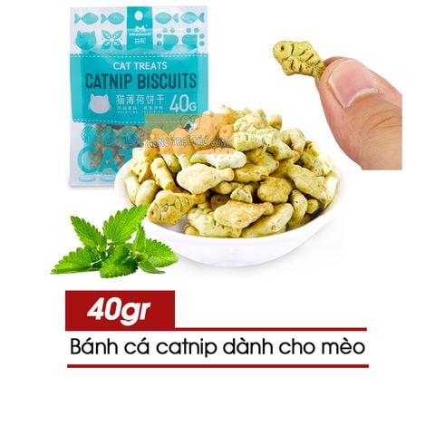  Bánh Thưởng Cá Catnip Cho Mèo 40g - Catnip Biscuits 