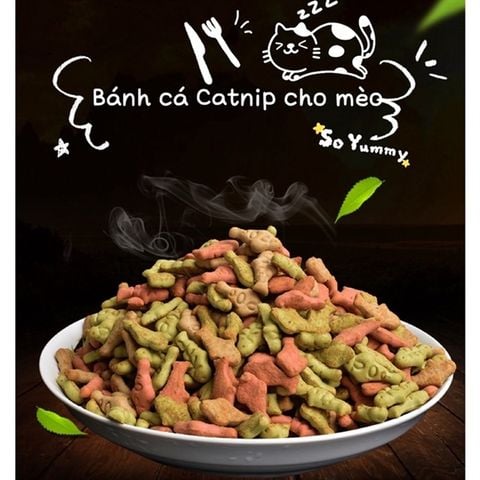  Bánh Cá Catnip Cho Mèo 