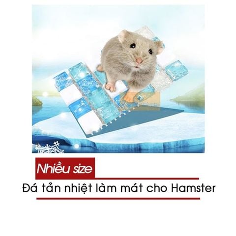 Đá Làm Mát - Đá Tản Nhiệt Cho Hamster - Nhiều Size 