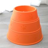  Bát ăn đơn in mờ hình chân chó 