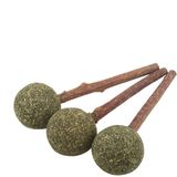  Que cỏ bạc hà Catnip dành cho mèo 