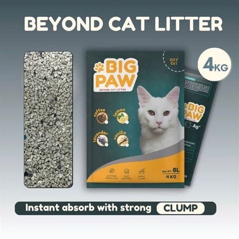  Cát Vệ Sinh Cao Cấp BigPaw 8L - 4kg Hạt Nhỏ Siêu Tiết Kiệm 