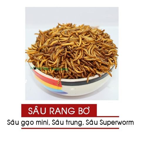  Sâu Rang Bơ Hamster Nhím Sóc - 25gr - Nhiều Loại 