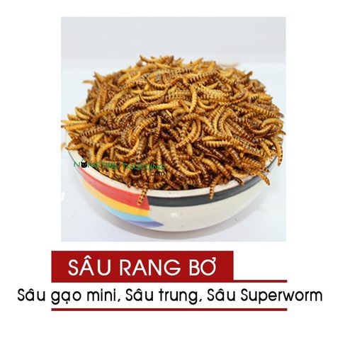  Sâu Rang Bơ Hamster Nhím Sóc - 25gr - Nhiều Loại 