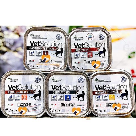 Pate Monge Mèo - Monge Vet Solution Gastrointestinal 100g - Nhiều loại 