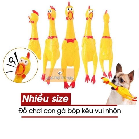  ĐỒ CHƠI CON GÀ LA HÉT GÀ BÓP KÊU 