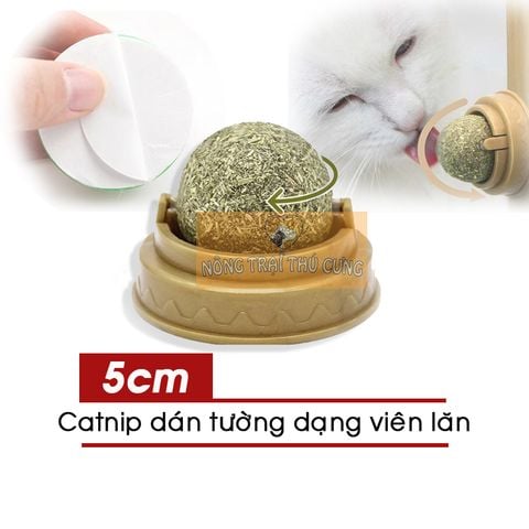  Cục Tròn Catnip Cỏ Bạc Hà Cho Mèo - Loại Dán Tường 