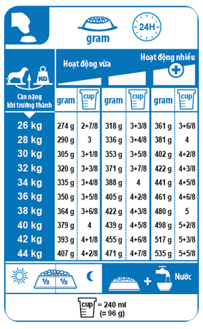  Hạt Chó ROYAL CANIN MAXI PUPPY/ ADULT giống Chó lớn 