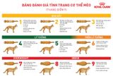  Hạt ROYAL CANIN DIABETIC CAT - KIỂM SOÁT DINH DƯỠNG CHO MÈO BỊ TIỂU ĐƯỜNG 