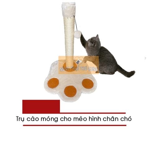  Cat Tree - Trụ Cào Móng Chân Chó Cho Mèo 50cm CT-00044 