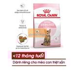  Hạt Royal Canin Kitten Sterilised Cho Mèo Con Triệt Sản 6-12 Tháng Tuổi 400g 