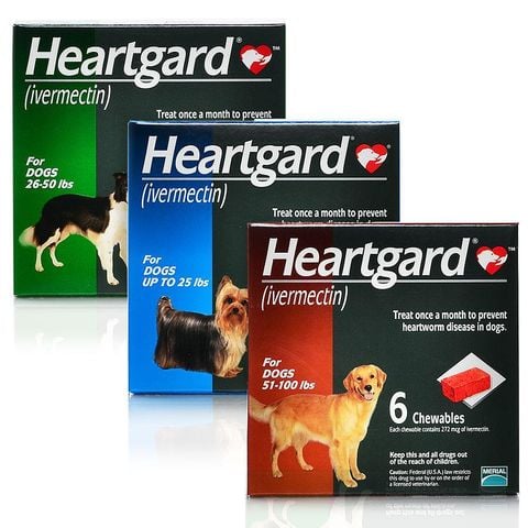  Viên nhai Heartgard Plus Phòng Và Trị Giun Tim, Giun Đũa, Giun Móc Trên Chó 