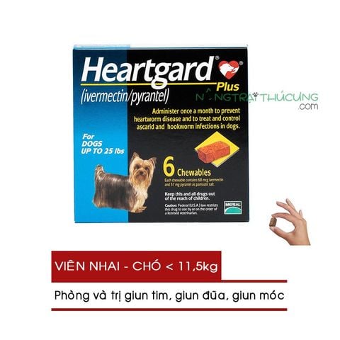  Viên nhai Heartgard Plus Phòng Và Trị Giun Tim, Giun Đũa, Giun Móc Trên Chó 