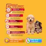  [BAO XÁ 20KG] Hạt Pedigree Cho Chó Trưởng Thành Vị Bò 