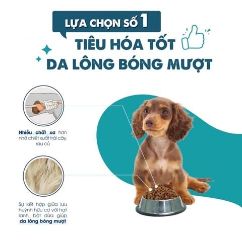  Hạt Cho Chó Con Today's Dinner Puppy (Hàn Quốc) - Vị Gà Cá & Rau Củ 