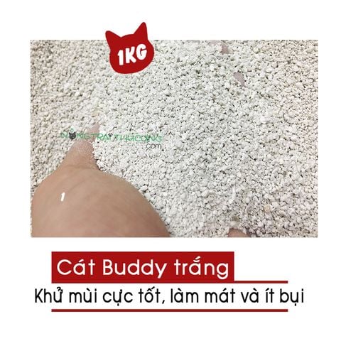  Cát Buddy lót chuồng cho Hamster, Bọ, Nhím - 1 Kg 
