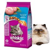  [1KG Re-pack] Hạt cho Mèo Lớn Whiskas Vị Cá Biển 
