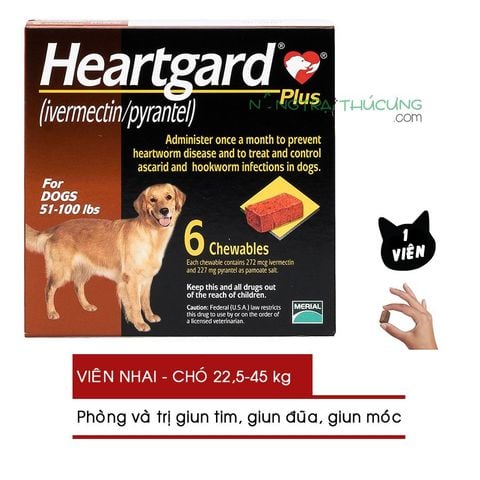  Viên nhai Heartgard Plus Phòng Và Trị Giun Tim, Giun Đũa, Giun Móc Trên Chó 