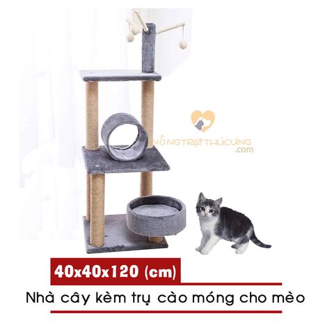  Cat Tree - Nhà Cây Kèm Trụ Cào Móng Cho Mèo- (40x40x120cm) 