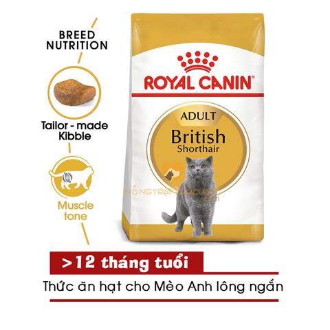  Hạt Mèo ROYAL CANIN BRITISH SHORTHAIR ADULT/KITTEN - 400g 