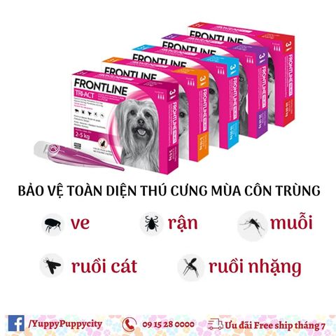  Nhỏ Gáy Frontline Tri-Act Diệt Ve Rận Bọ Chét, Xua Ruồi Muỗi Cho Chó- [1 TUÝP] 