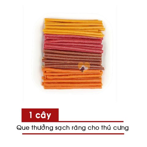  Que Thưởng Sạch Răng Chó 