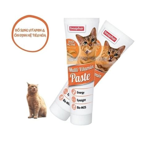  Gel Dinh Dưỡng Beaphar Cho Mèo 100g (Nhập Khẩu Hà Lan) - Bổ Sung Vitamin, Taurine, Dưỡng Lông Da 