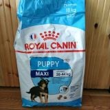  Hạt Royal Canin Maxi Puppy 10kg 