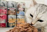  Pate Mèo MORANDO - 400gr - Nhiều Vị 