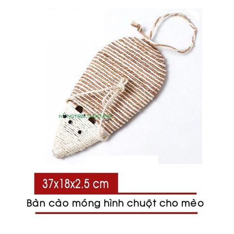  Bàn cào móng Mèo - Nhiều hình 