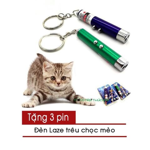  Đàn Laze trêu chọc mèo - Đồ chơi cho mèo 