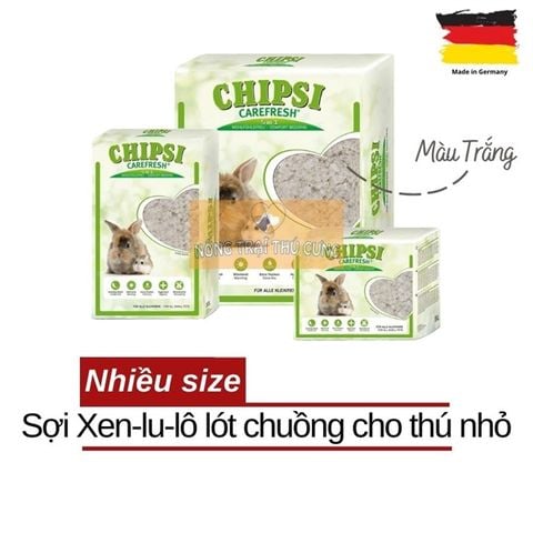  Lót Chuồng Cao Cấp CHIPSI CAREFRESH PURE WHITE Cho Hamster, Thỏ, Bọ, 