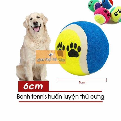  Đồ Chơi Banh Tenis Cho Thú Cưng 8cm (1 Trái) - GIAO MÀU NGẪU NHIÊN 