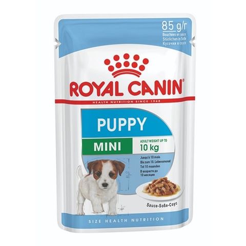  Pate Royal Canin Mini Puppy Cho Chó Con - Nhiều loại 