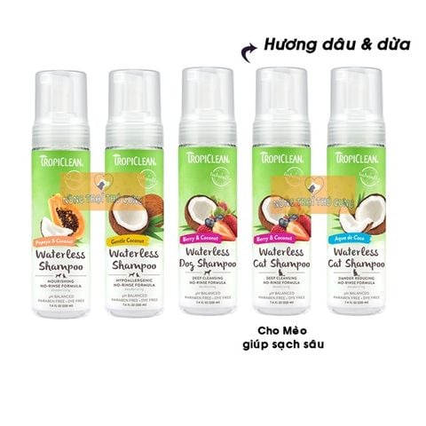  Dầu Tắm Khô Hữu Cơ Organic Cho Chó Mèo TropiClean 220ml (USA) 