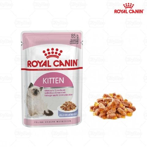  Pate Mèo con ROYAL CANIN KITTEN - 85gr - Nhiều loại 