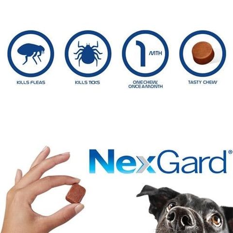  Thuốc nhai NexGard Trị Viêm Da, Ve, Ghẻ, Bọ Chét Trên Chó 