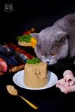  PATE TƯƠI THE PET CHO CHÓ MÈO 1KG 