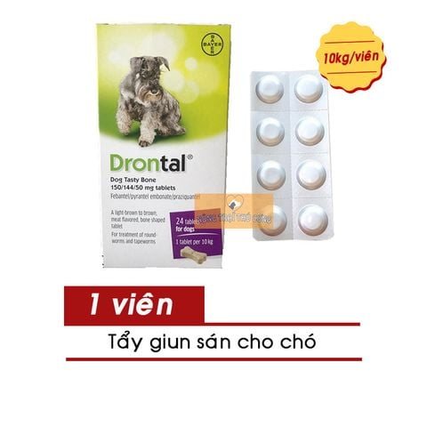  Viên Tẩy Giun Sán Drontal Cho Chó (An Toàn Cho Chó Mang Thai) 